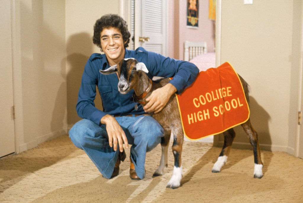 THE BRADY BUNCH, Barry Williams, 'Getting Greg's Goat', (Season 5, aired Oct. 19, 1973)