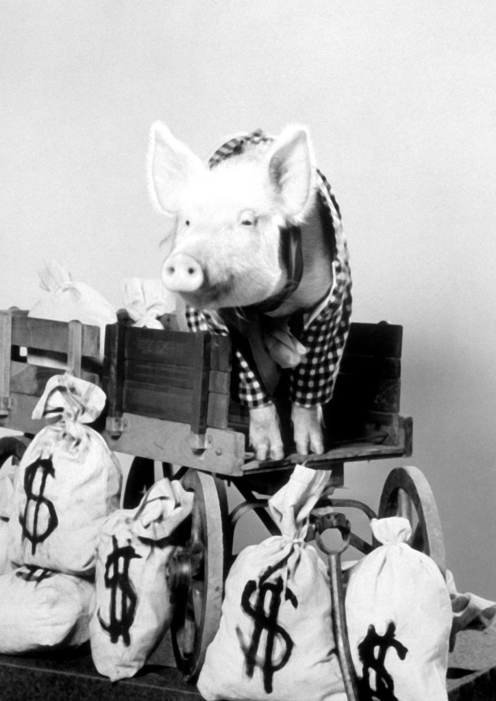 GREEN ACRES, Arnold the Pig, 1965-1971
