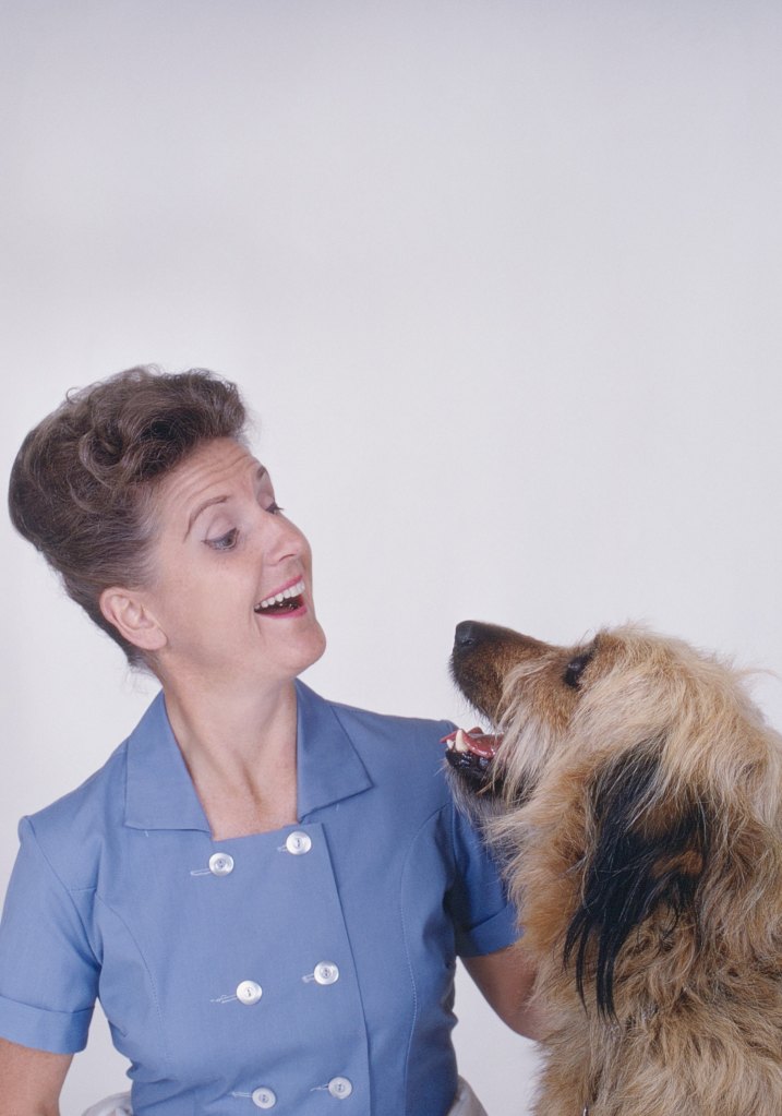 THE BRADY BUNCH, Ann B. Davis, Tiger, (Season 1, 1969), 1969-1974. 