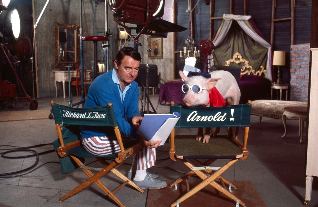 GREEN ACRES, director Richard L. Bare and Arnold the Piggy, (1968)