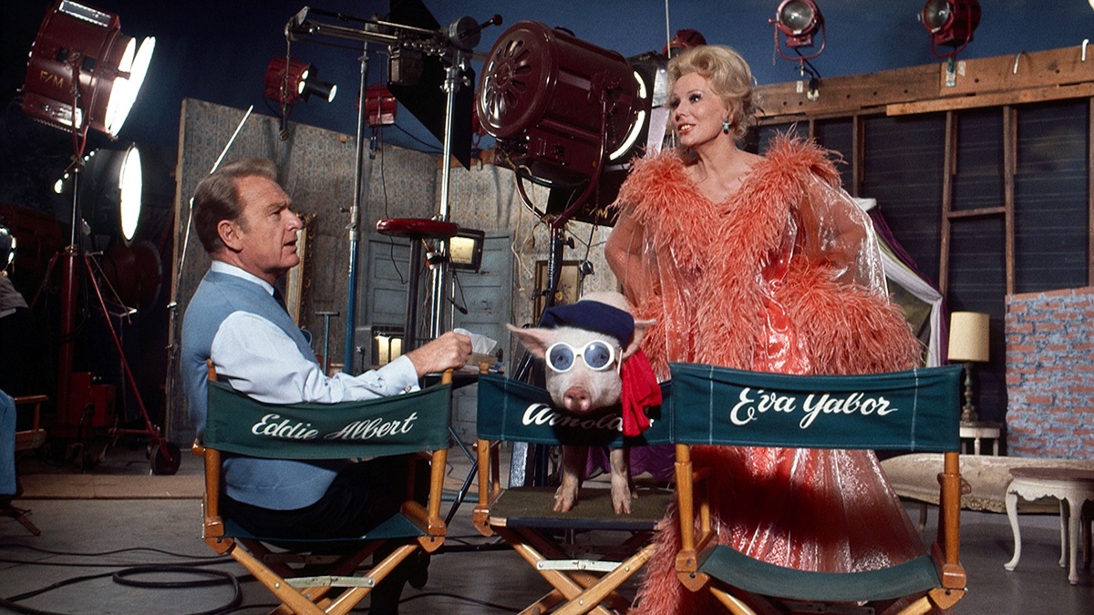 GREEN ACRES, Eddie Albert, Arnold the Piggy, Eva Gabor, (1968) 1965-1971.