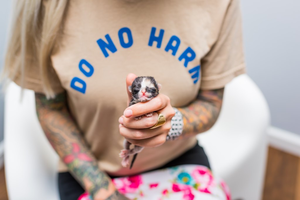 Hannah Shaw holding tiny kitten