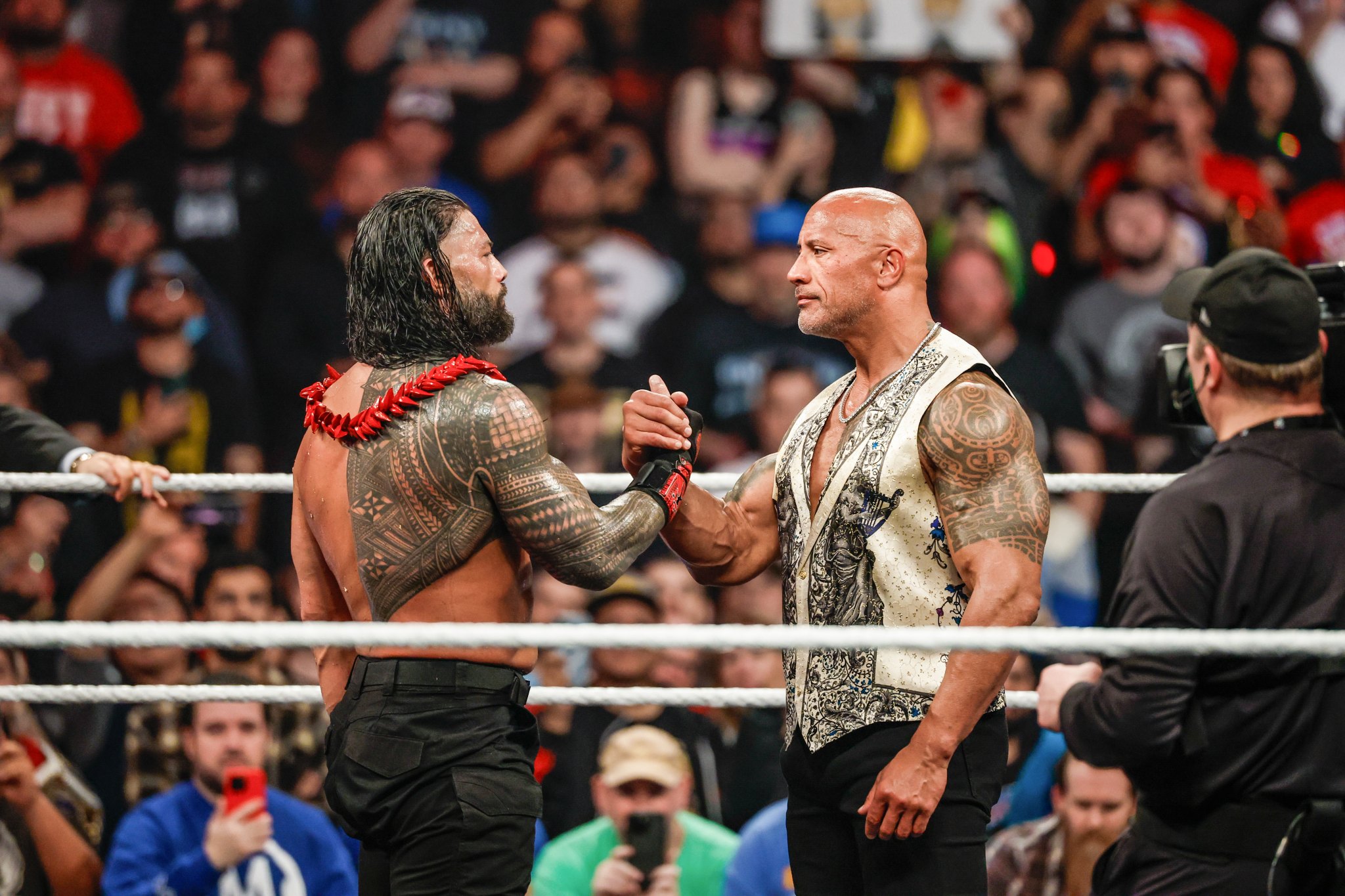 Are Roman Reigns and The Rock Related? Their Impressive Wrestling ...