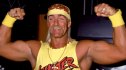 Hulk Hogan in 1995