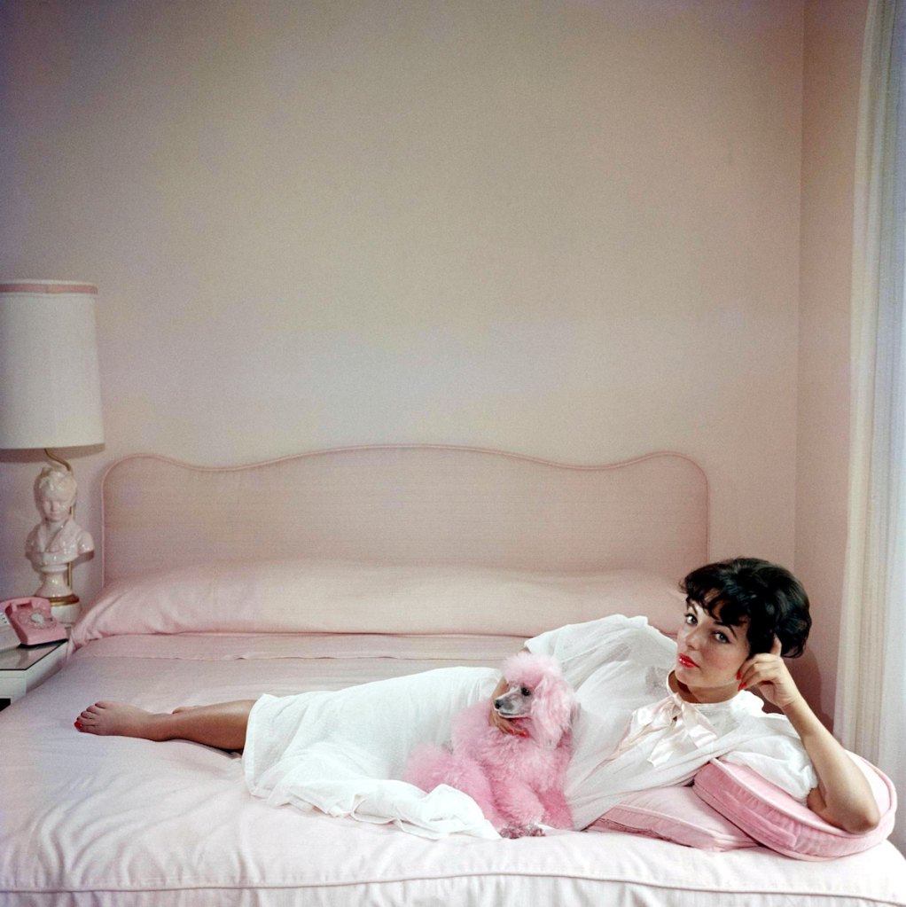 Joan Collins with a pink poodle in the '50s