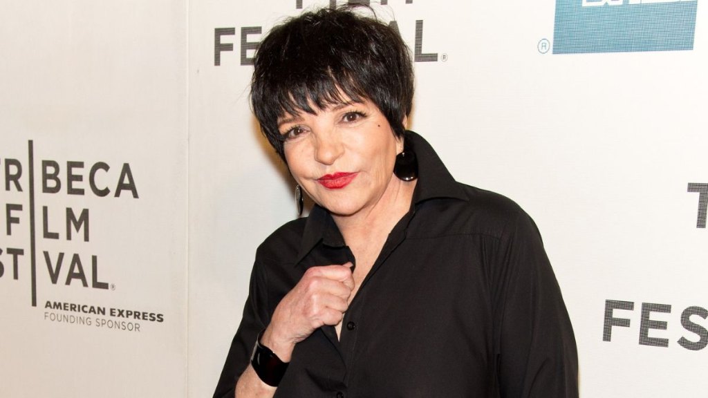 Liza Minnelli in 2013