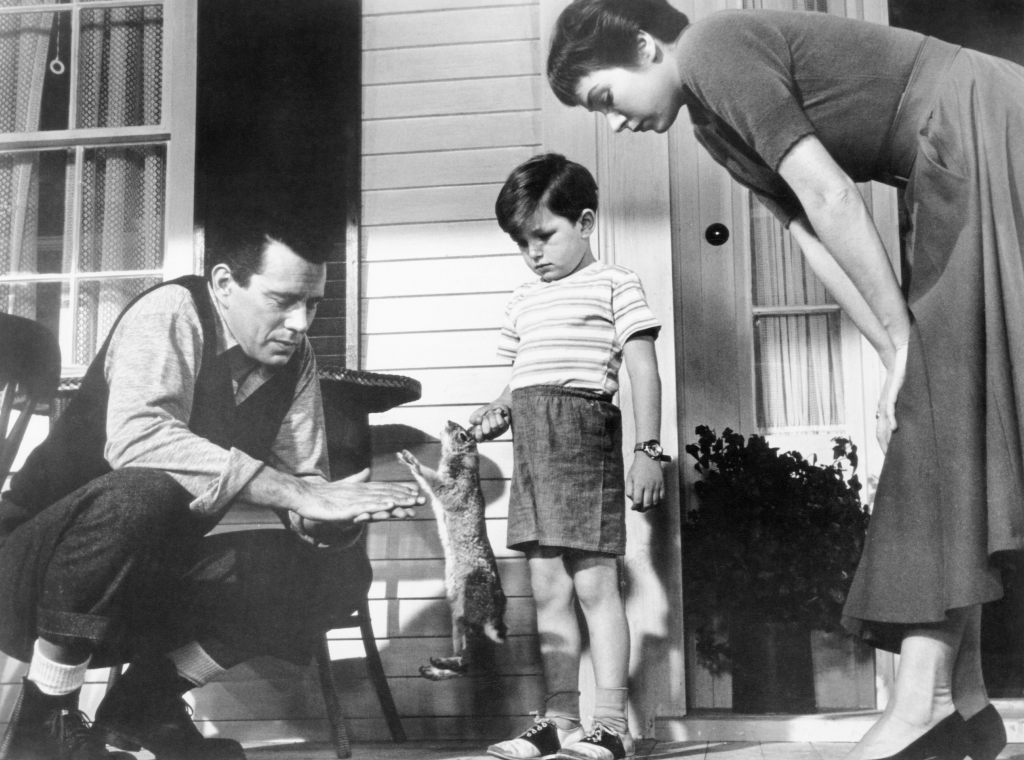 Alfred Hitchcock's 'The Trouble with Harry': from left, John Forsythe, Jerry Mathers, Shirley MacLaine, 1955