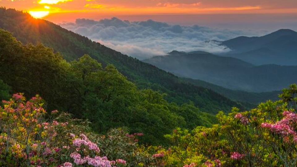 cropped-Things-To-Do-In-Brevard-NC