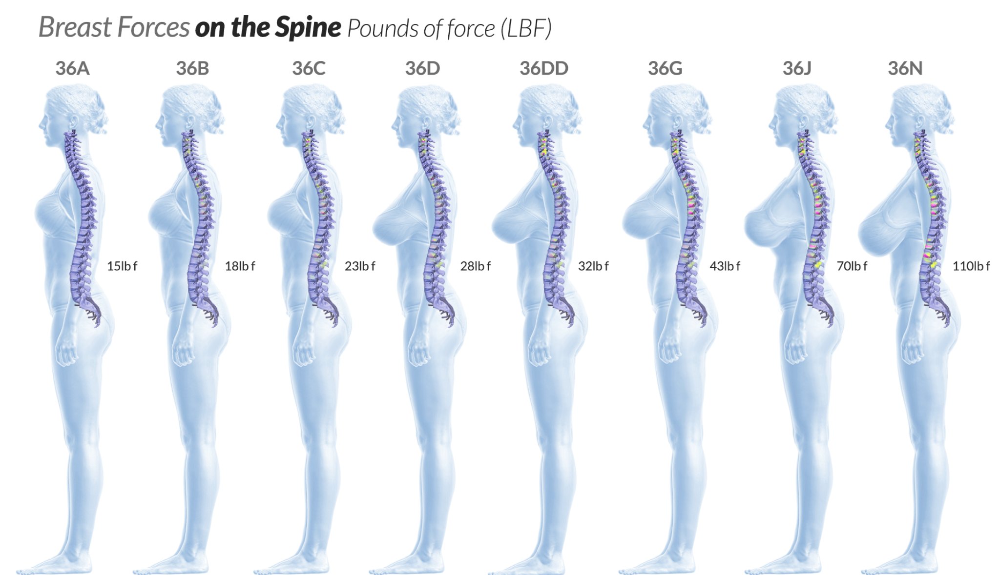 Best Bras for Back Pain That Are Supportive and Comfortable | Woman's World