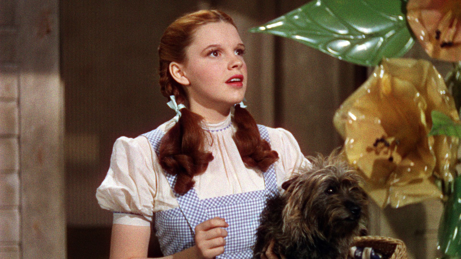 judy garland