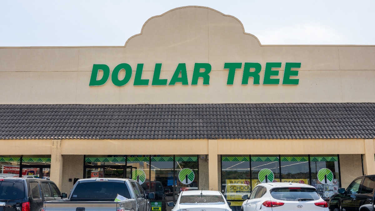 Dollar Tree's $1.50 Anthropologie Dupe Is Flying off Shelves!