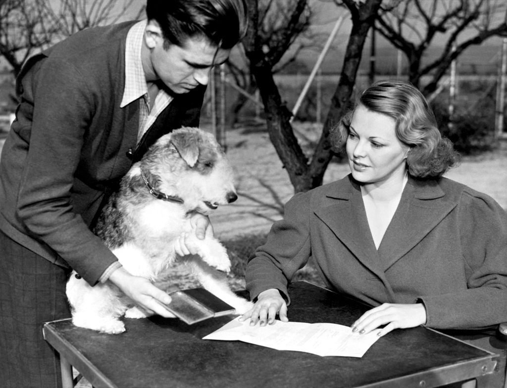 Skippy the dog prepares to sign a contract for the 1937 film China Passage with his paw as his costar, Constance Worth, looks on