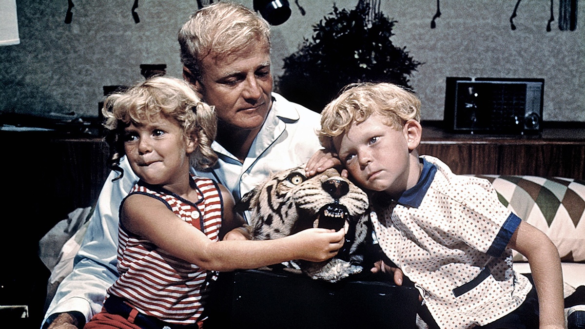 FAMILY AFFAIR, Anissa Jones, Brian Keith, Johnny Whitaker, 1966-71