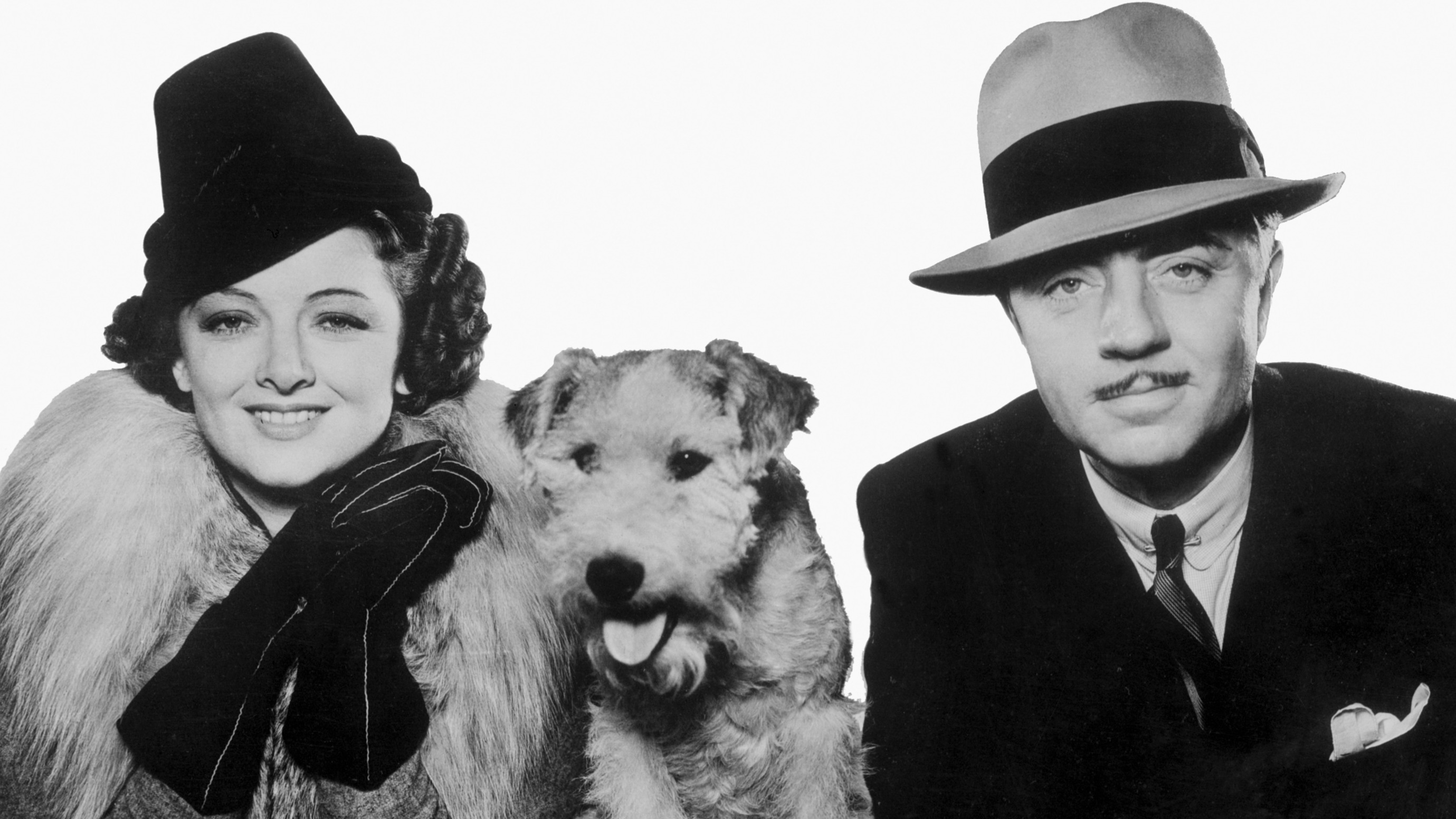 Skippy (as Asta the dog) poses with 'After the Thin Man' stars Myrna Loy and William Powell in 1936