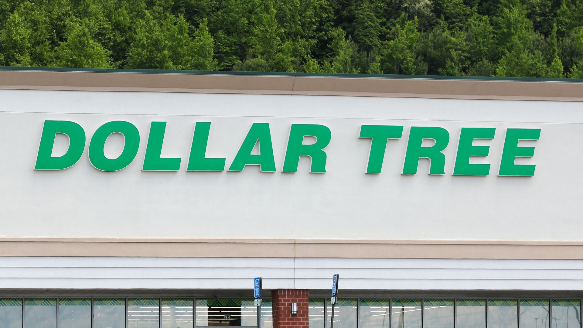 dollar tree
