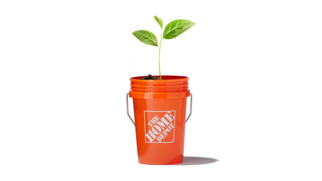 home depot plants