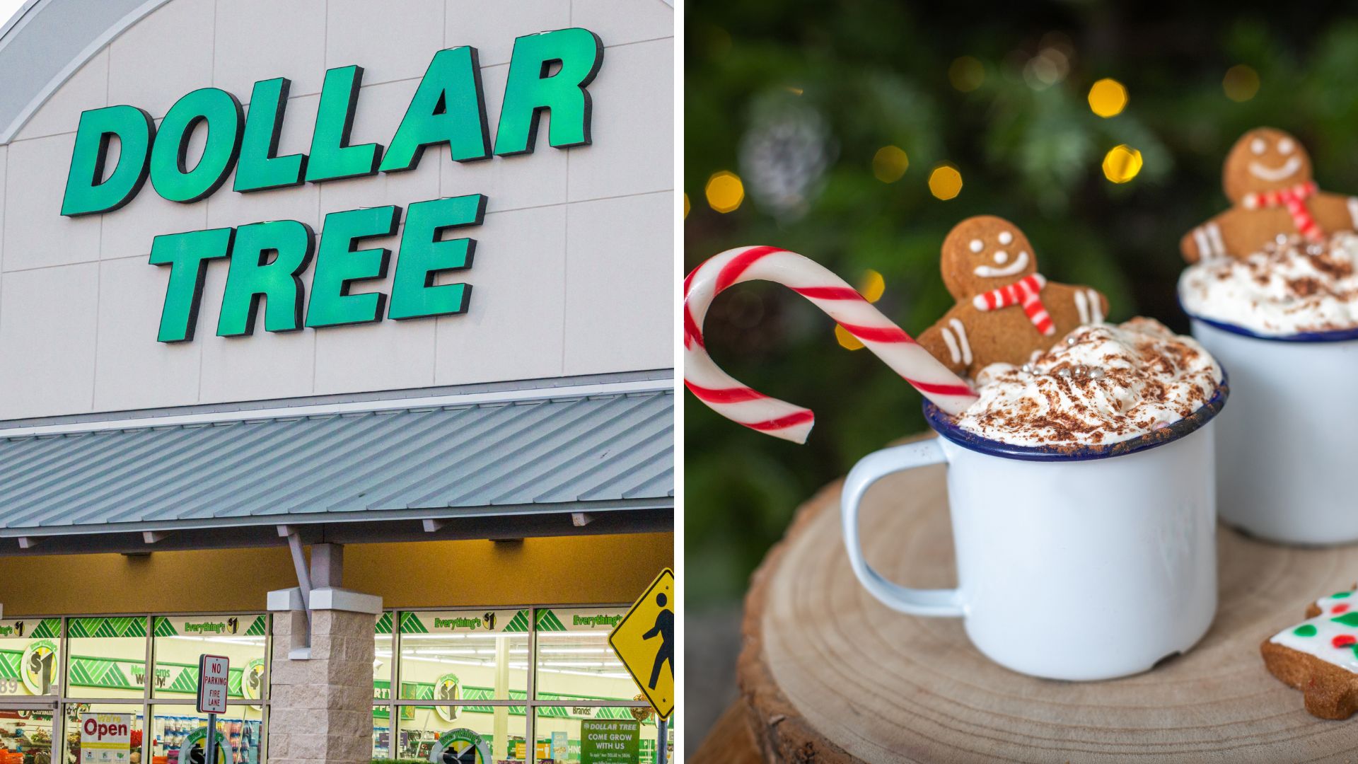 dollar tree hot cocoa
