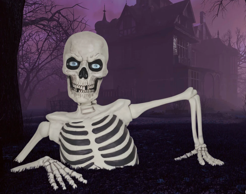 skeleton