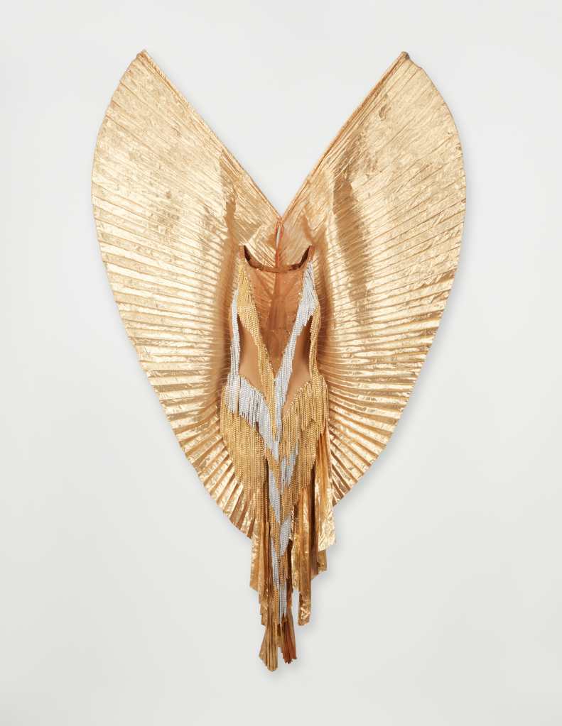 Tina Turner's butterfly costume 