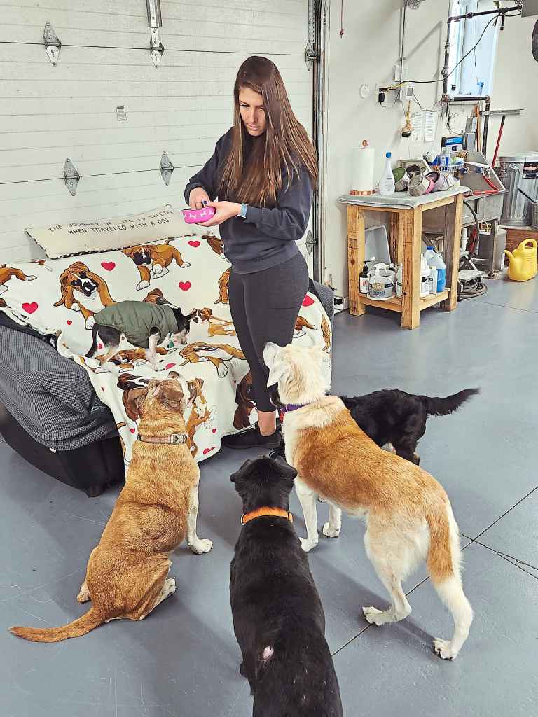 Many volunteers give pups lots of love—and treats—at Jane’s Journey Home