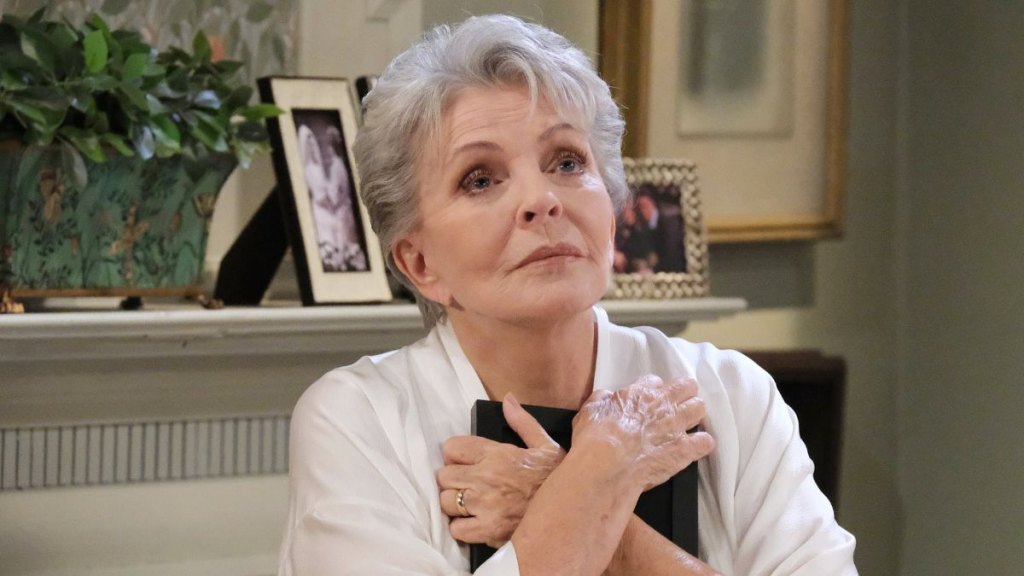 Days of Our Lives Susan Hayes looks to the future Julie