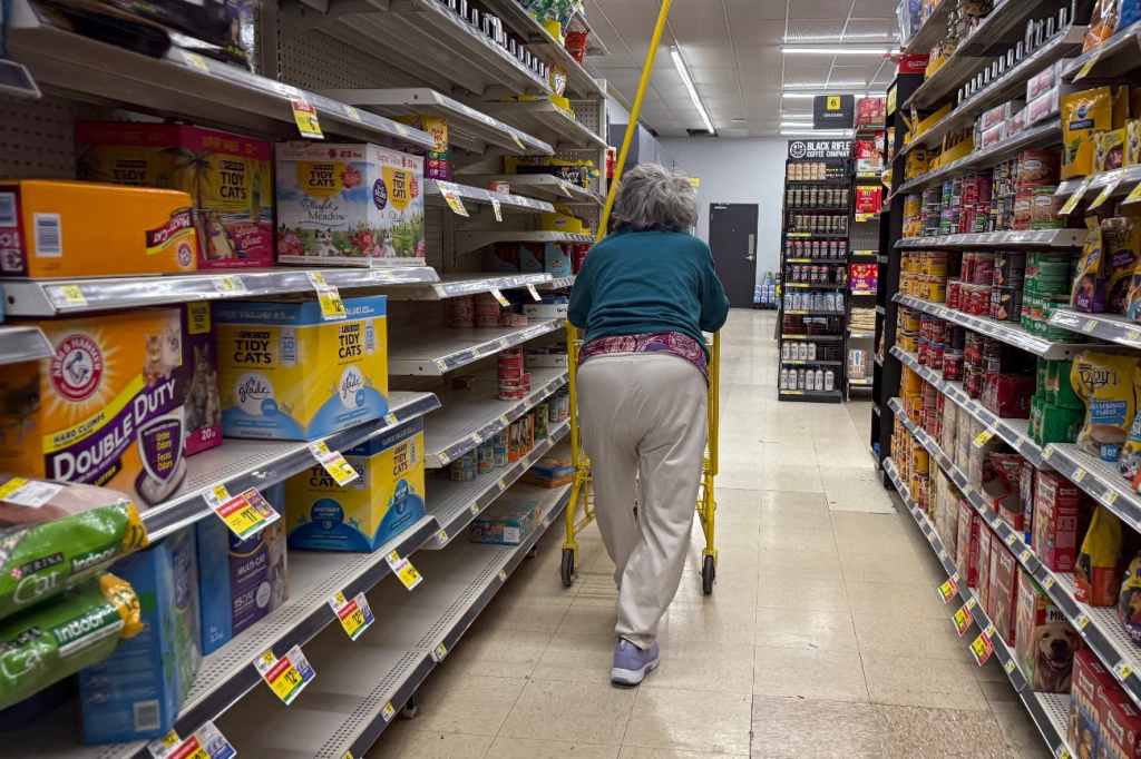 Dollar General shopper