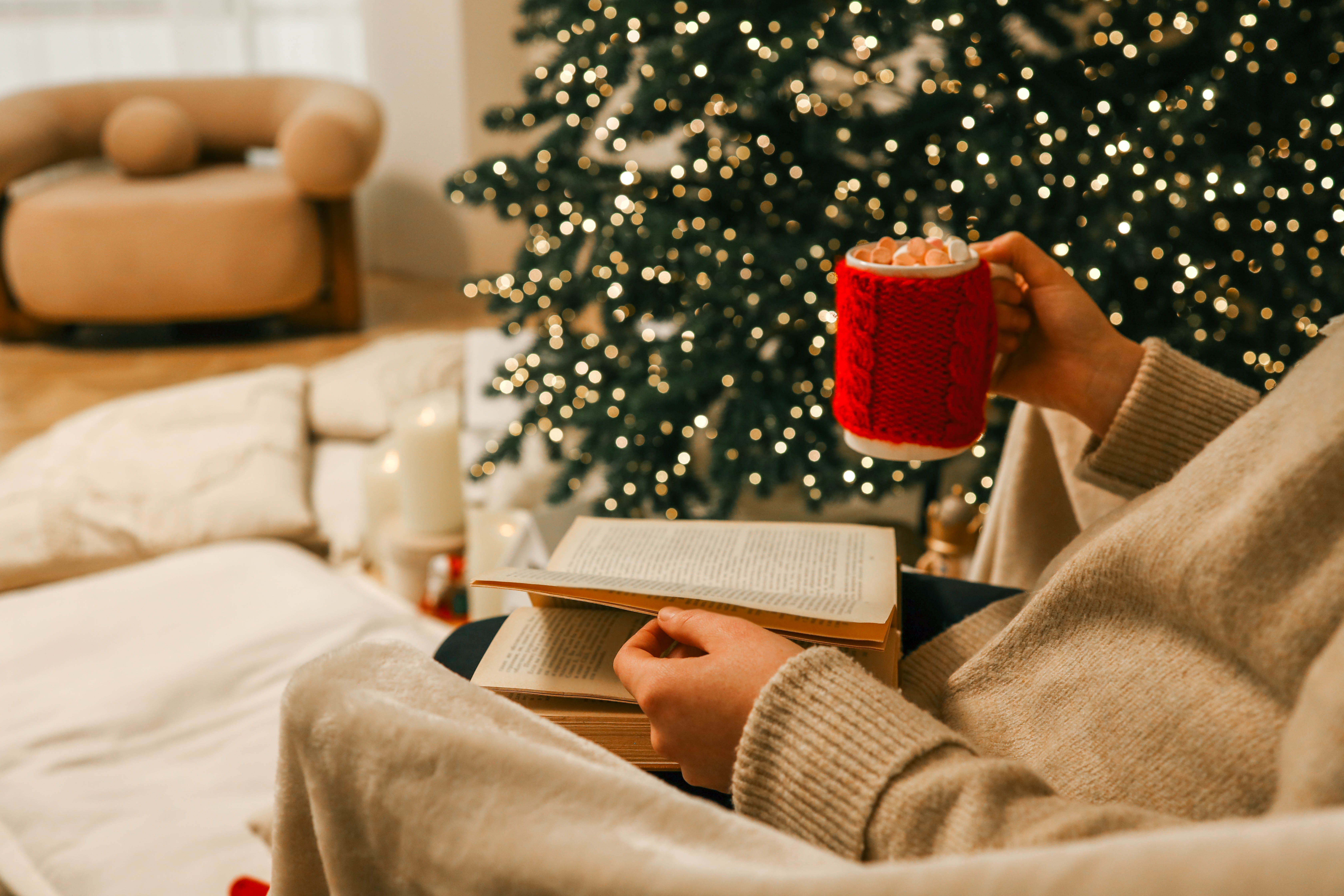 Best New Holiday Books
