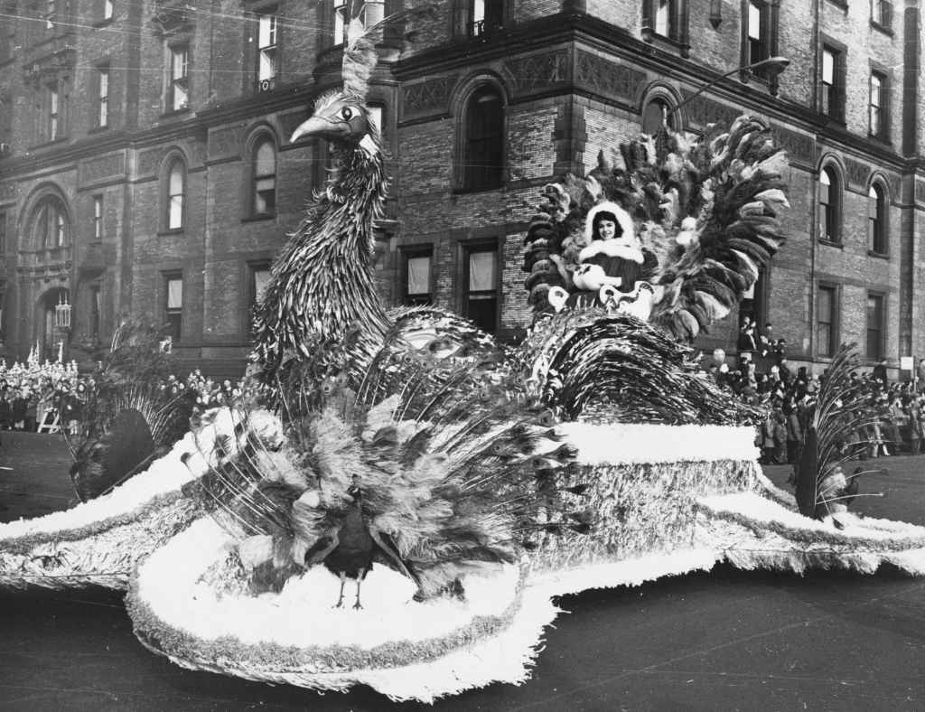 peacock float