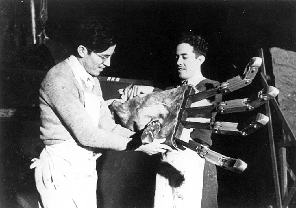 Work being done on Kong's mechanical, pre-furred hand —remember, this film was made in the 1930s!