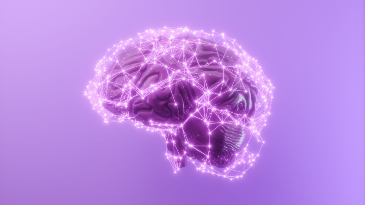 An illustration of a brain