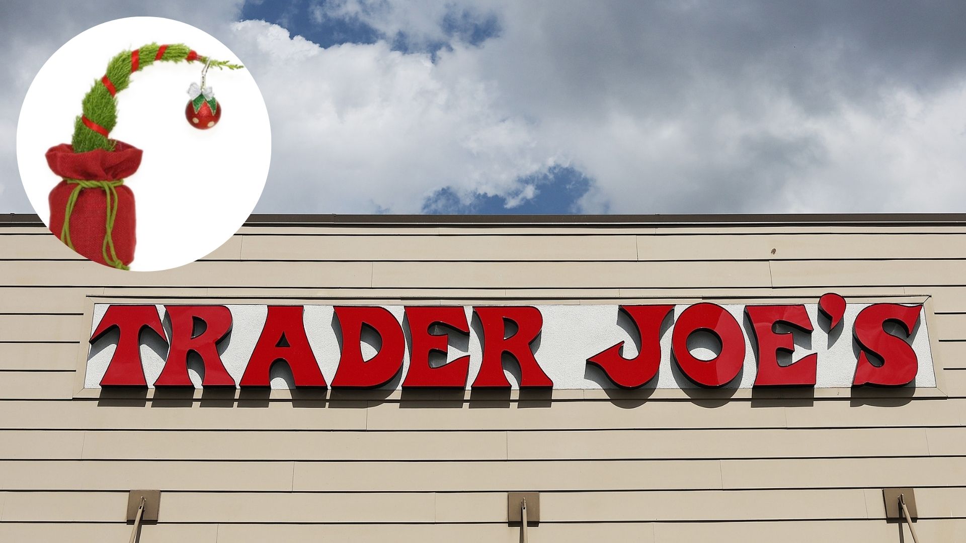 trader joe's grump tree