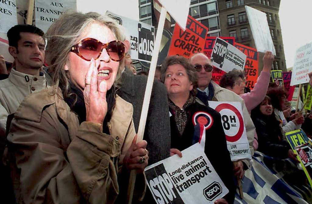 Brigitte Bardot at an animal rights protest in 1995