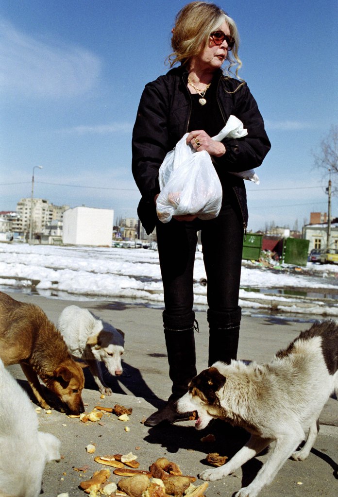 Brigitte Bardot feeds stray dogs in 2001