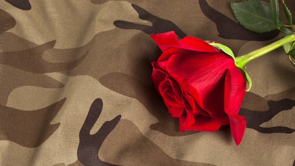 Rose on a military uniform