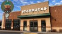 starbucks app bear cup