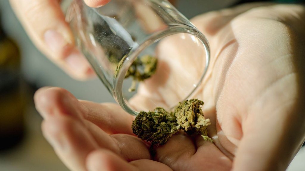 weed