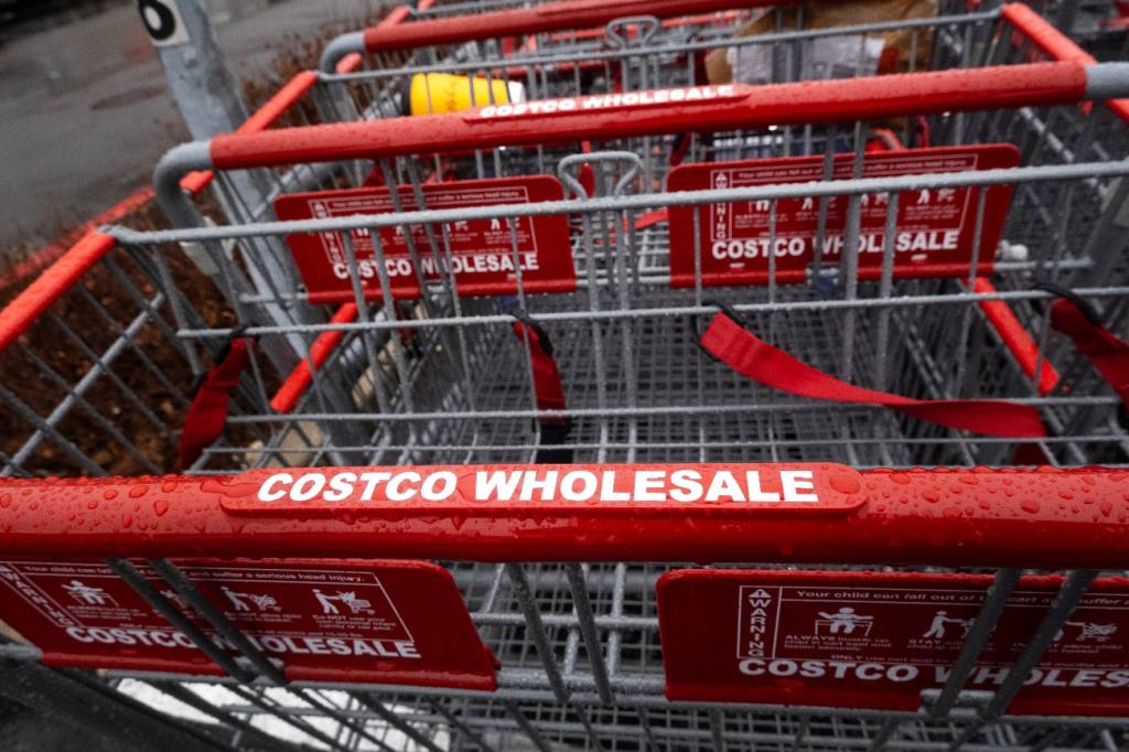 Costco cart