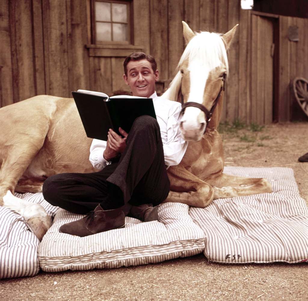 MISTER ED, (aka MR. ED) Alan Young, Bamboo Harvester, as Mister Ed (voiced by Allan 'Rocky' Lane), on-set, 1961-66 (1962 photo). 