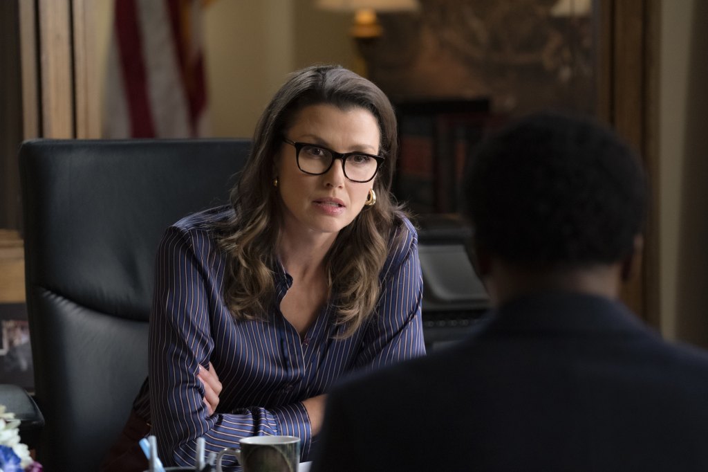 bridget moynahan