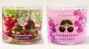 Strawberry Kiwi / Sweetheart Cherry