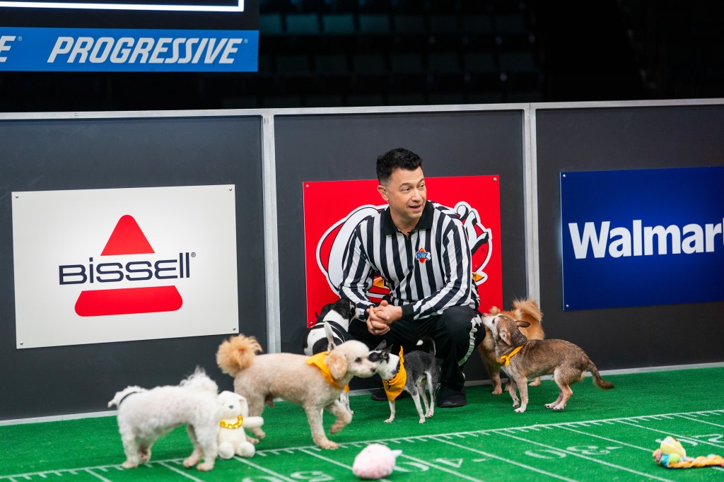 Senior dogs in 2026 Puppy Bowl
