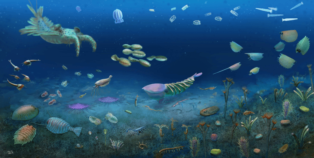 Artistic reconstruction of the Huayuan biota.