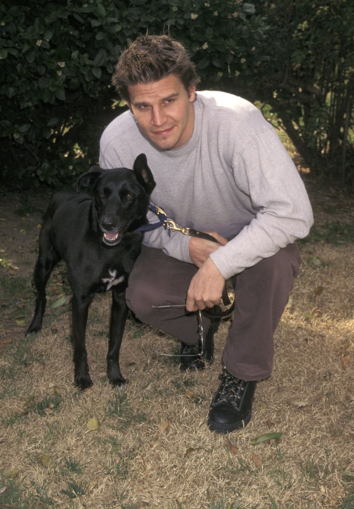David Boreanaz