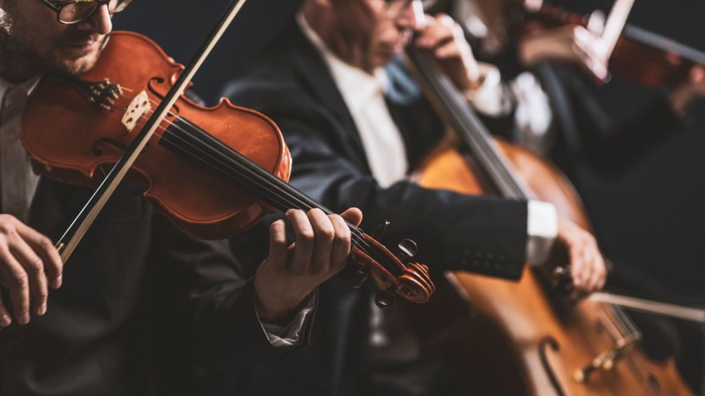 Symphonic string orchestra performing on stage