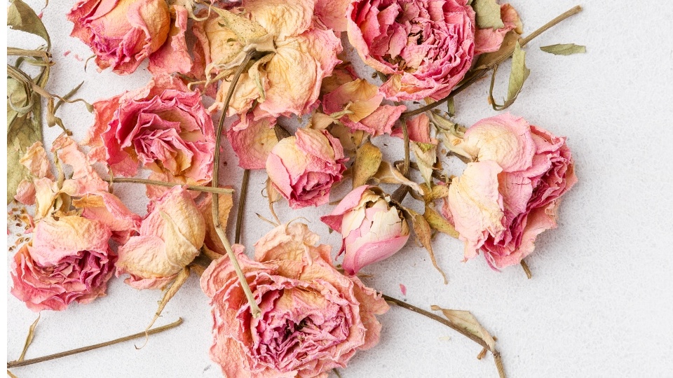 What to Do With Leftover Flowers: 7 Ways to Make a Bouquet Last