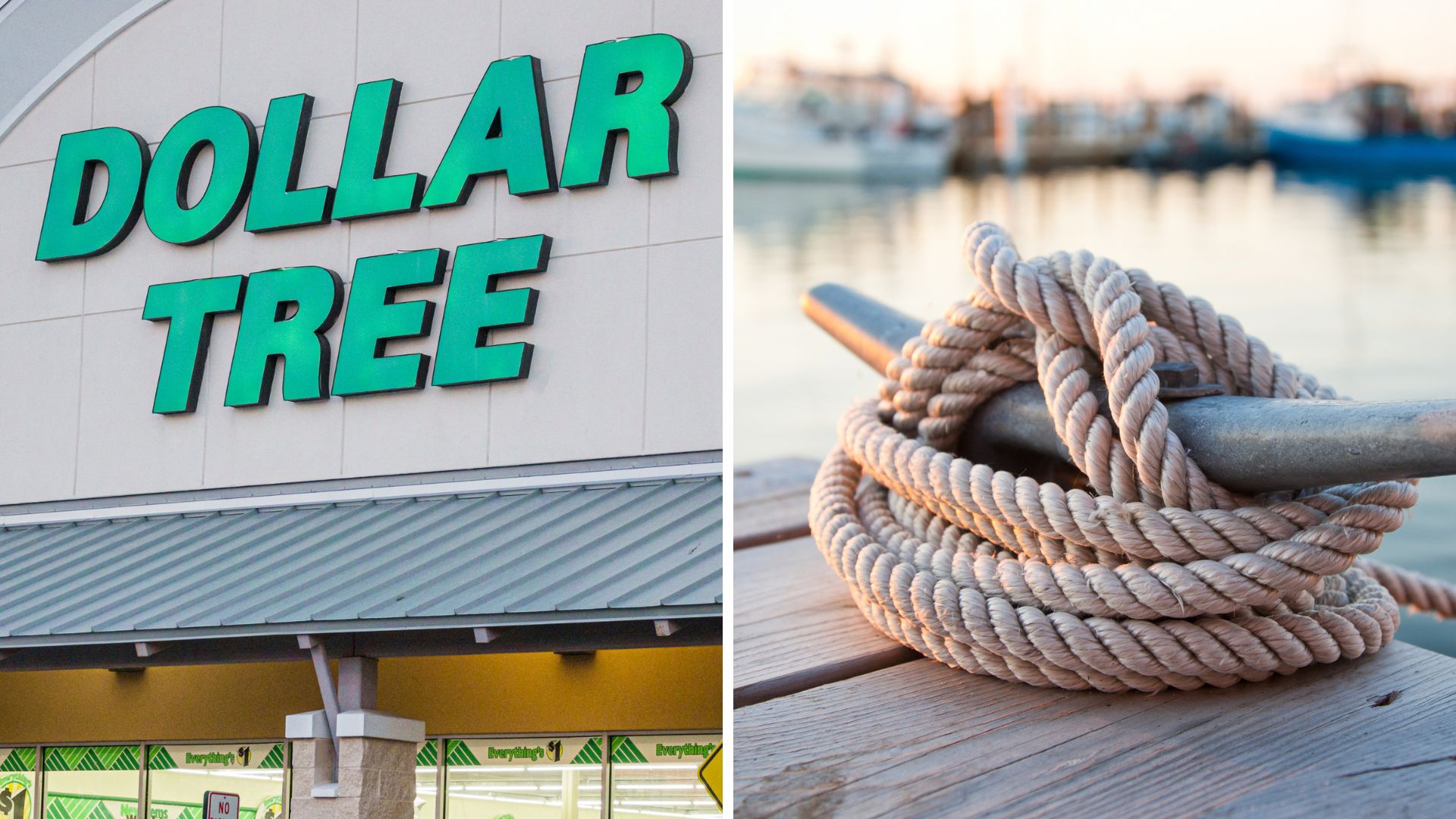 dollar tree coastal