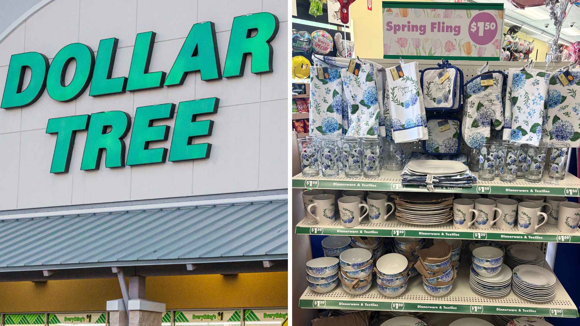 Dollar Tree Spring dinnerware