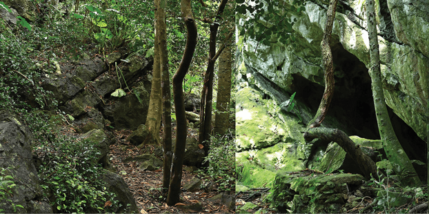 karstic trail and boulders khlong hat district thailand