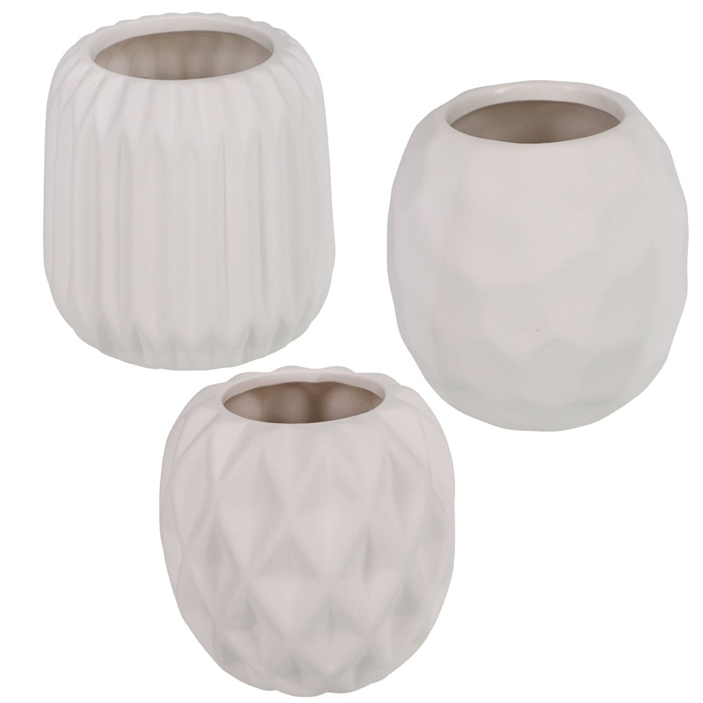 succulent plant pots
