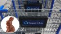 Sam's Club